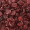 Azar Azar Dried Cranberry 5lbs 9691096 - alternate 2